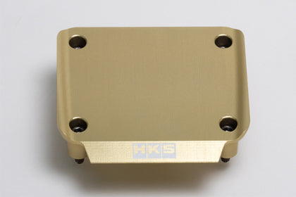 HKS RB26 Cover Transistor - Gold 22998-AN004